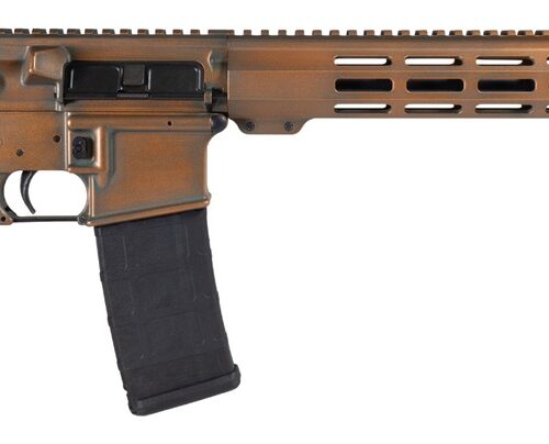 Shark Coast Tactical 300-086-1000-23 Penny 5.56 NATO 30+1 16" Black Melonite Threaded Barrel, Aluminum Receiver w/Picatinny Rail, M-LOK Handguard, Magpul MOE SL Black Polymer Stock, Magpul MOE Grip, R