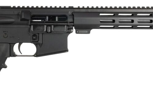 One Horse LLC  OH-15  5.56 NATO 30+1 16" Black Threaded Barrel, Black Receiver w/Picatinny Rail, M-LOK Handguard, One Horse M4 6 Position Black Polymer Stock, Black A2 Grip
