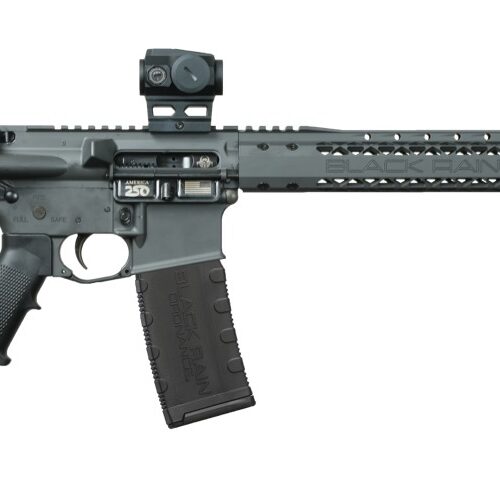 Black Rain Ordnance BRO26040601OPT Sports South Exclusive 5.56 NATO 16" Viridian Venta Red Dot
