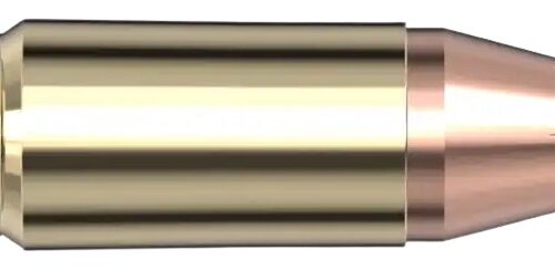 HORN 90276      AM GUNNER  9MM    115XTP LSE 250/1