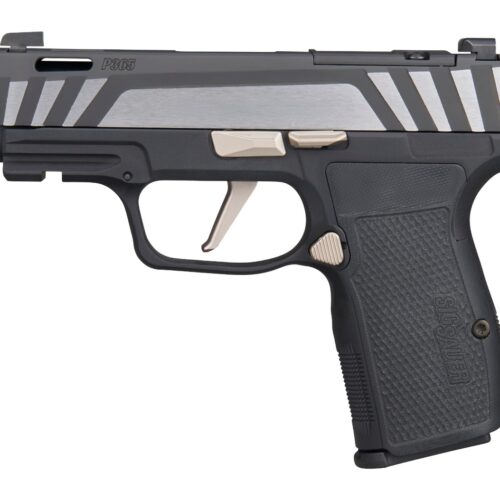 Sig Sauer 365AXG9COMPEQ P365 AXG Equinox Compact 9mm Luger 12+1 3.10" Equinox/Nitron Stainless Steel Optic Ready Slide, Equinox Black Stainless Steel Frame w/Picatinny Rail, Black G10 Grip