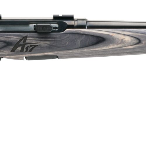 SAVAGE ARMS A17 SPORTER 17WSM BL/LAM 22"