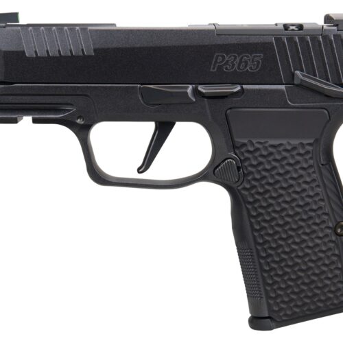 SIG SAUER P365 AXG LUXE 380ACP MS CA