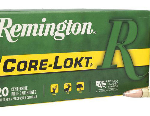 REM CORE-LOKT 300HAMR 125GR PSP 20/10