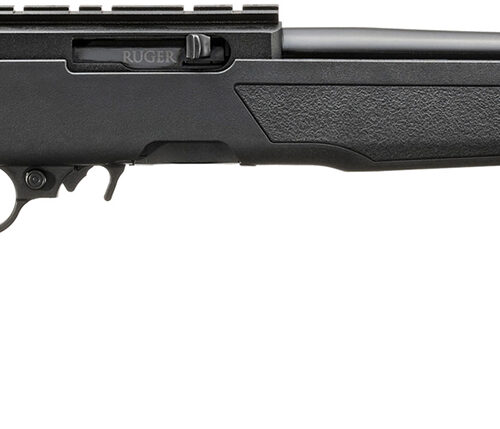 RUG 10/22 22LR 18.5 BLK 10RD RAIL