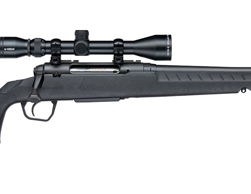 SAVAGE ARMS AXIS 308WIN BL/SYN CPT PKG TB