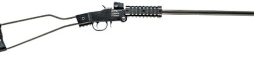 CHIAPPA LITTLE BADGER 22WMR 500.110
