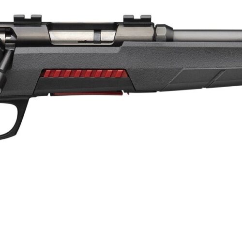 WIN XPERT RIMFIRE MAGNUM 17HMR 18 8RD MATTE BLK