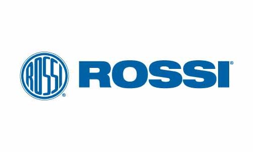ROSSI RP62 357MAG SS 6RD 2" AS