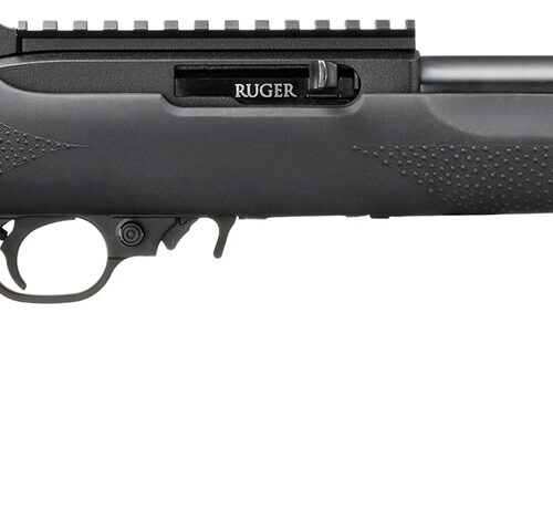 RUG 10/22 22LR 16.12 BLK HOGUE 10RD